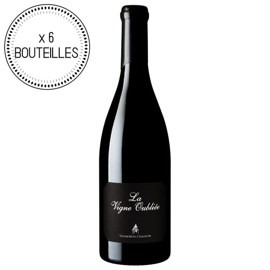 6 bouteilles de vin 75cl Luberon Rouge "Vigne Oubliée" 2021